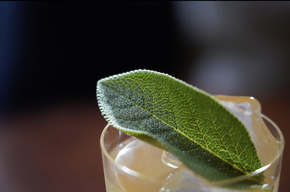 Sage & Glory cocktail