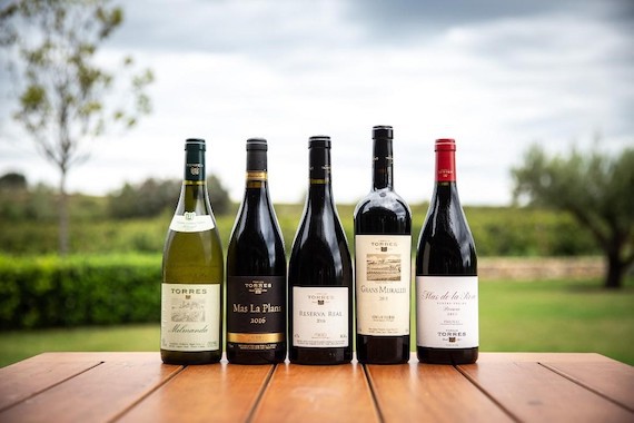 worlds most admired wine brands 2022 torres
