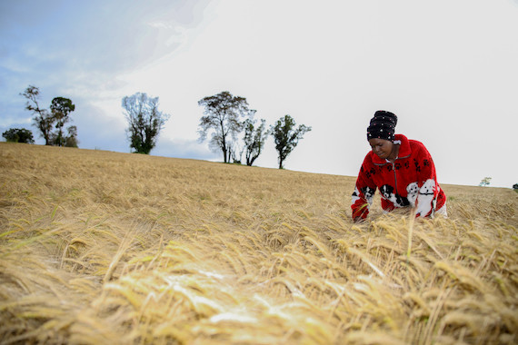 smallholder farmer in africa