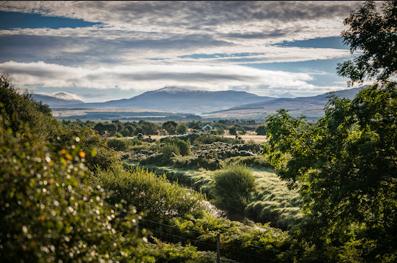 Diageo pledges up to £5m to restore Scotland's peatlands